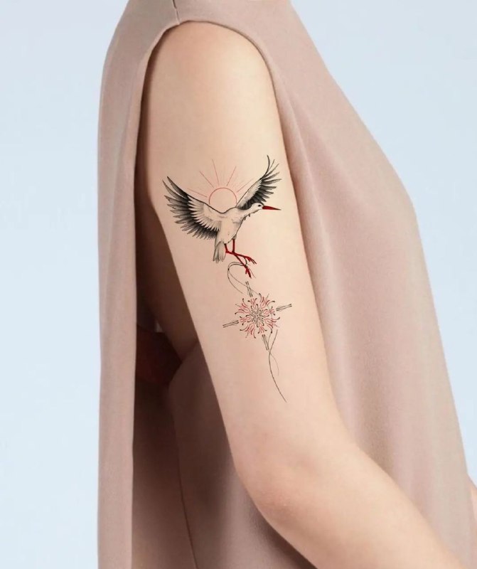 Colorful stork tattoo on the shoulder for women