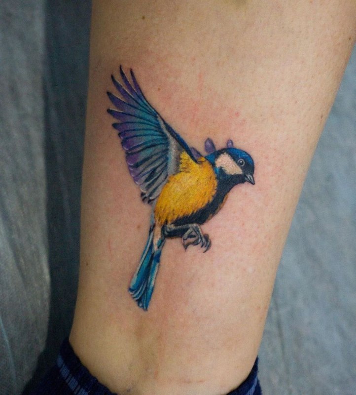 Colored ankle tattoo of a tit for men