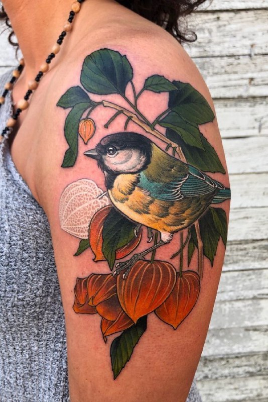 Colorful tattoo of a tit with a pisalis on the shoulder for women