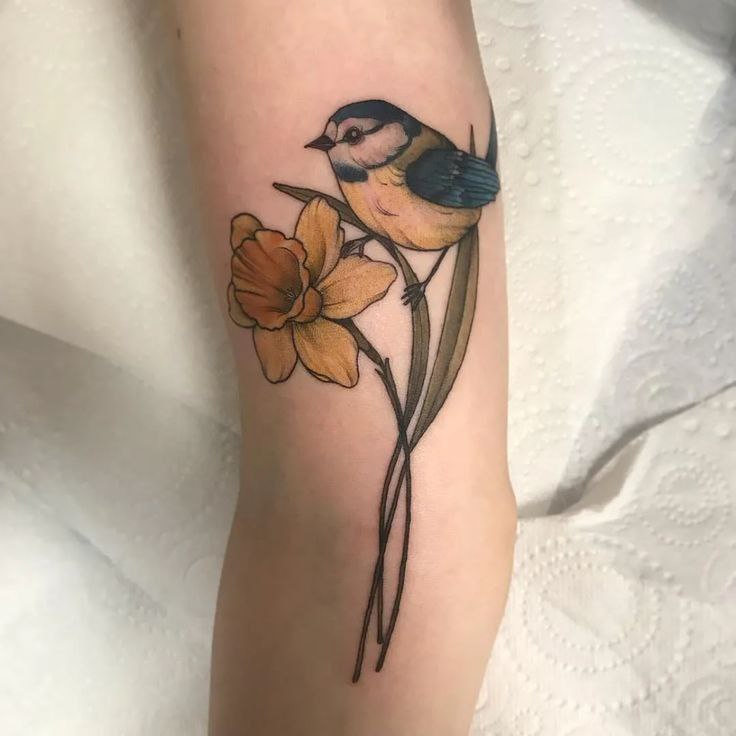 Colorful tattoo of a tit and a daffodil on the arm for women