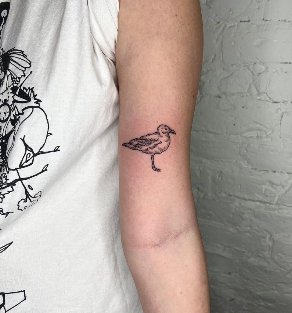 Tattoo of a seagull on the shoulder for women