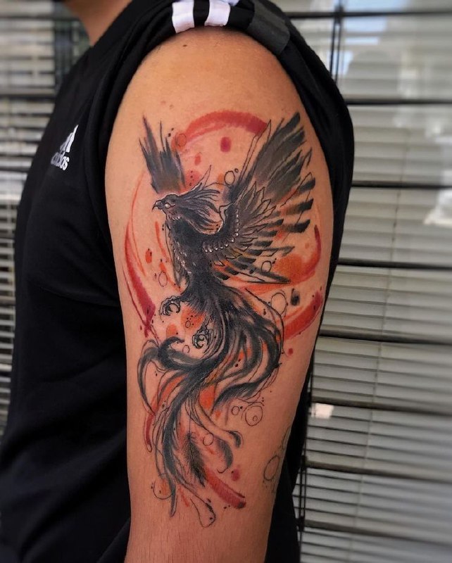 Colorful phoenix tattoo on the shoulder for men