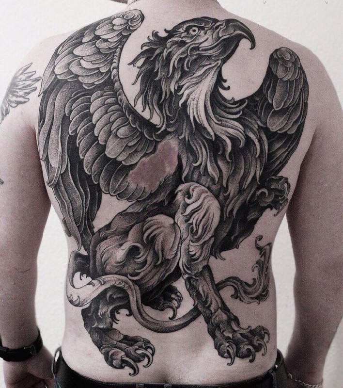 Large griffin tattoo on the back for men