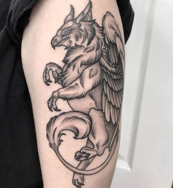 Tattoo of a griffin: a symbol of wisdom, valor and freedom