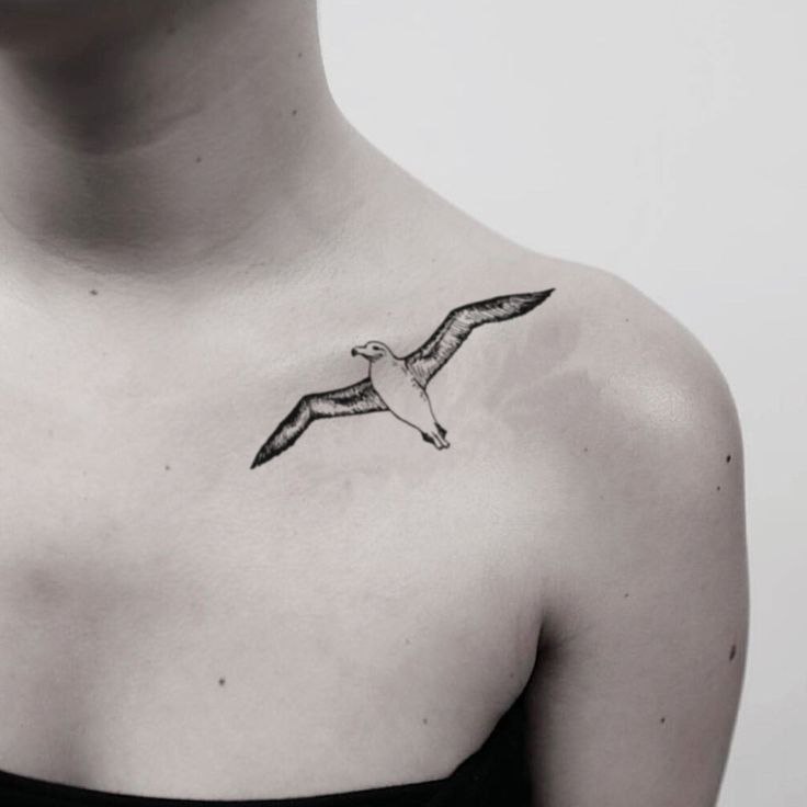 Tattoo of a seagull on the collarbone for women