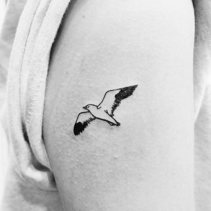 Tattoo of a seagull on the shoulder for women