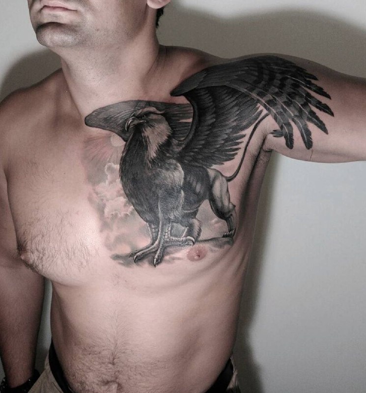 Large griffin tattoo on the chest for men