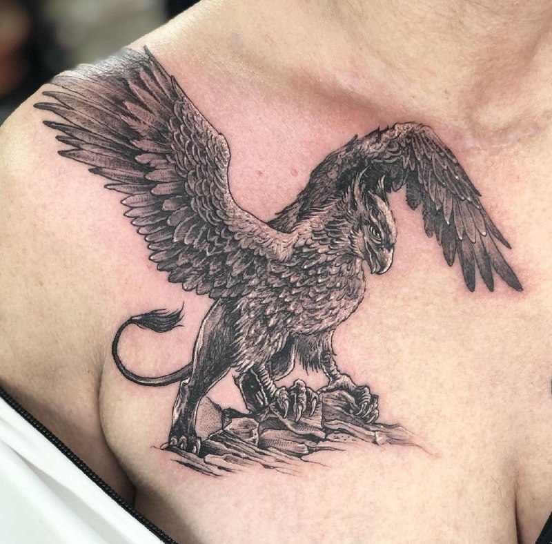 Large griffin tattoo on the collarbone for women