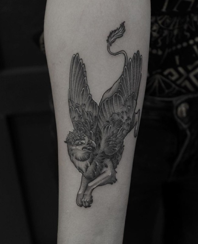 Tattoo of a griffin on the forearm for men