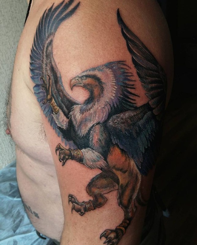 Colored griffin tattoo on the shoulder for men