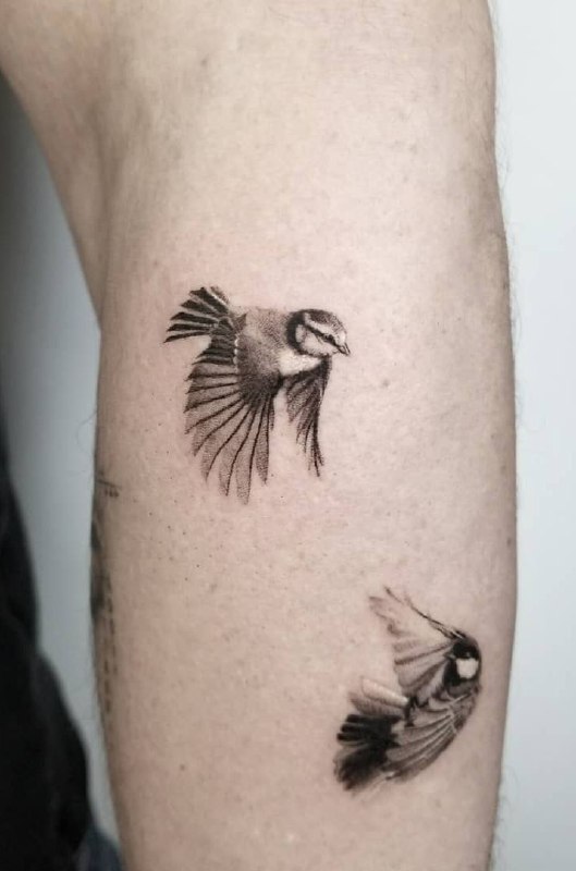 Tattoo of two sparrows on the leg for men