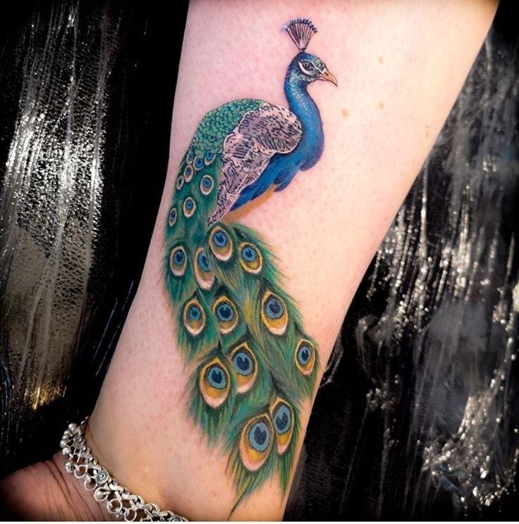 Colorful tattoo of a peacock on the forearm for men