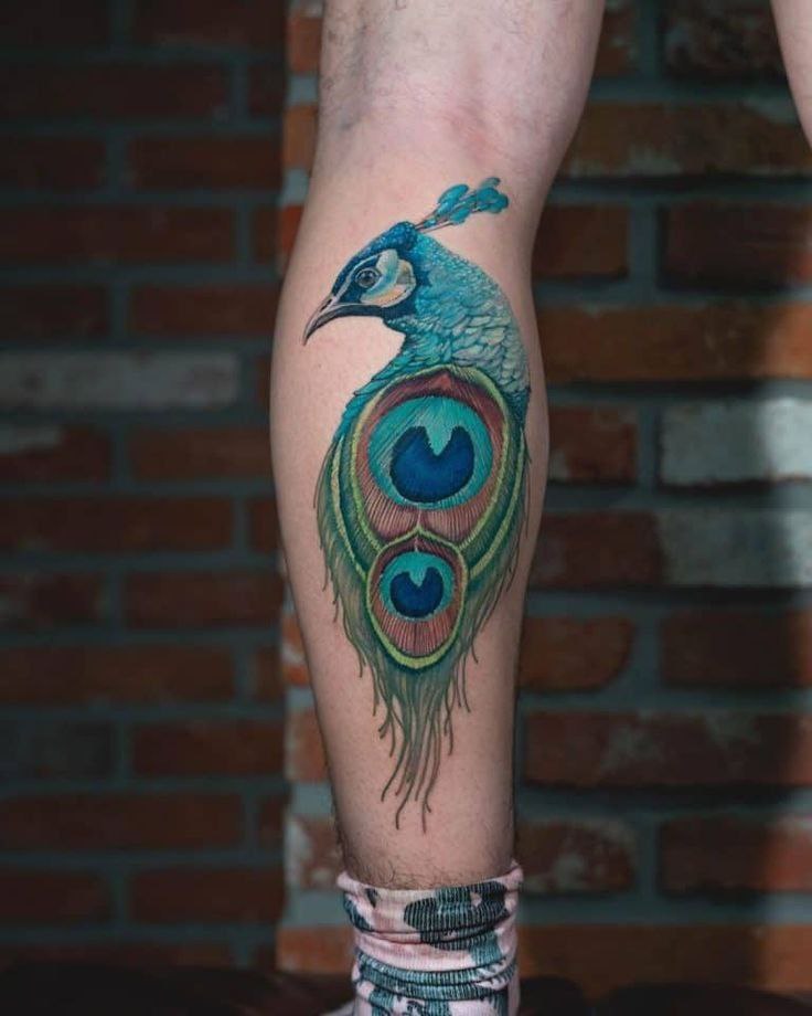 Colorful tattoo of a peacock on a calf for men