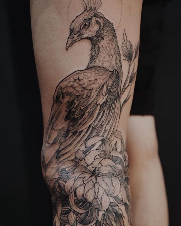 Large peacock tattoo on the leg for men