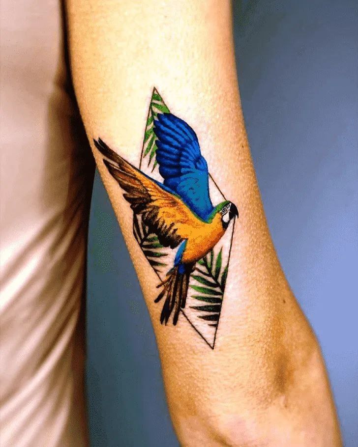 Color parrot tattoo on the shoulder for men