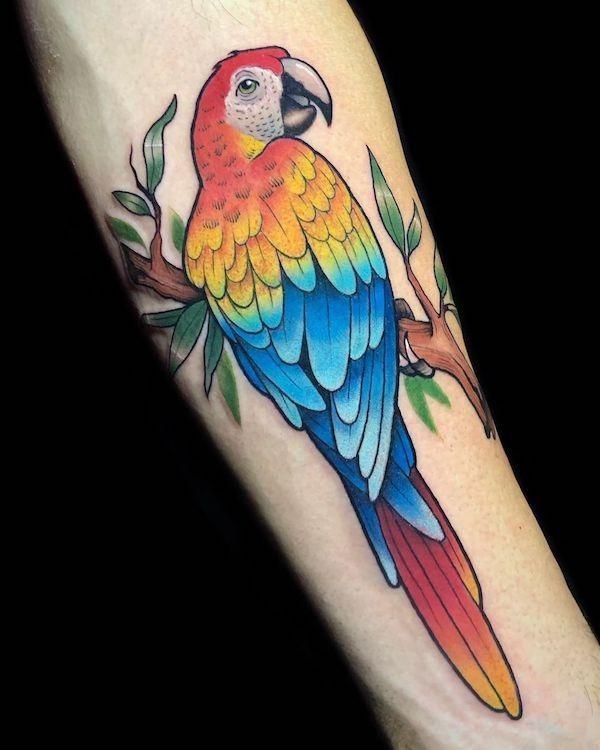 Large parrot tattoo on the forearm for men