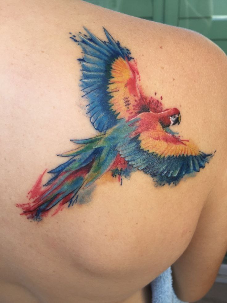 Colored parrot tattoo on the shoulder blade for men