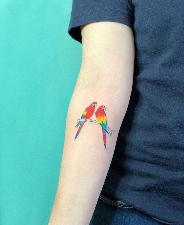 Small tattoo of two parrots on the forearm for men