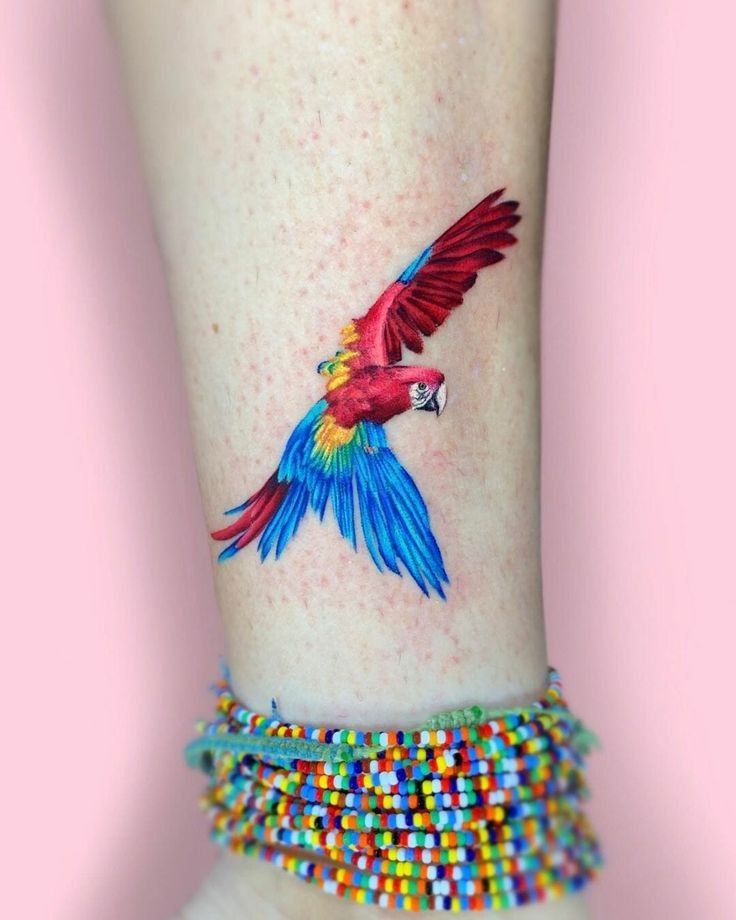 Colored parrot tattoo on the shin for women