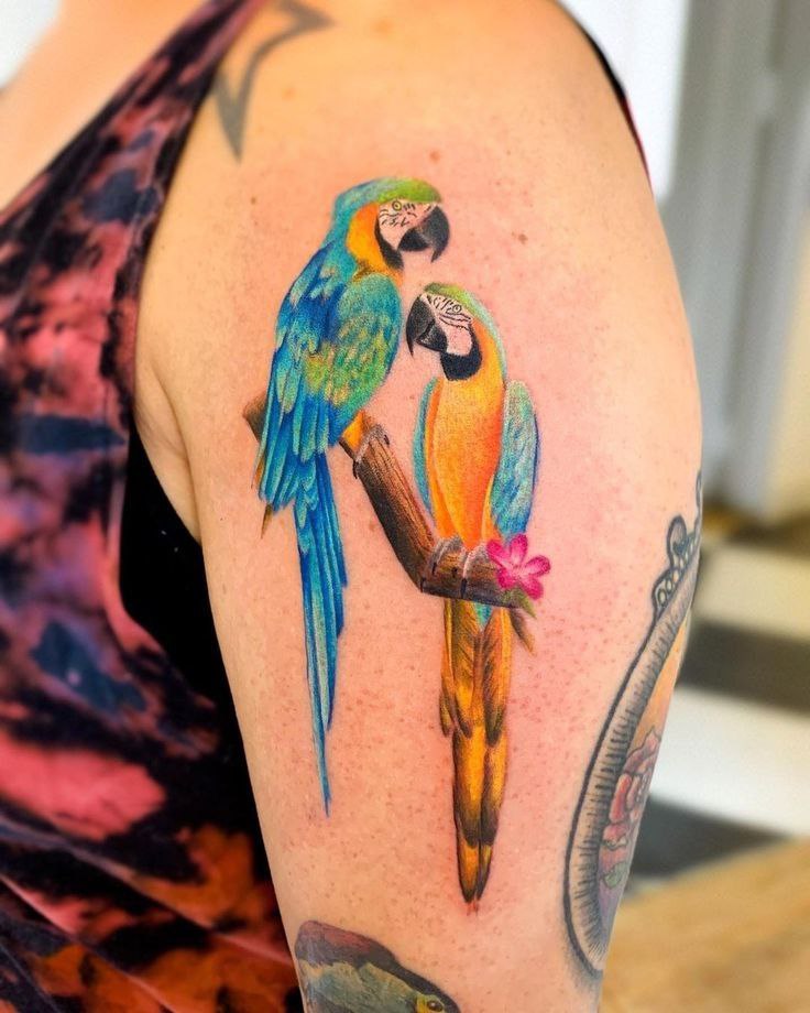 Large tattoo of two parrots on the shoulder for women