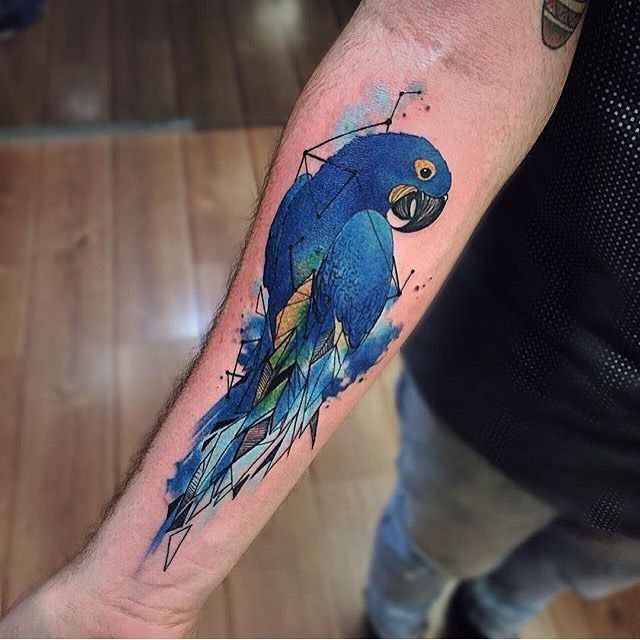 Colored parrot tattoo on the forearm for men