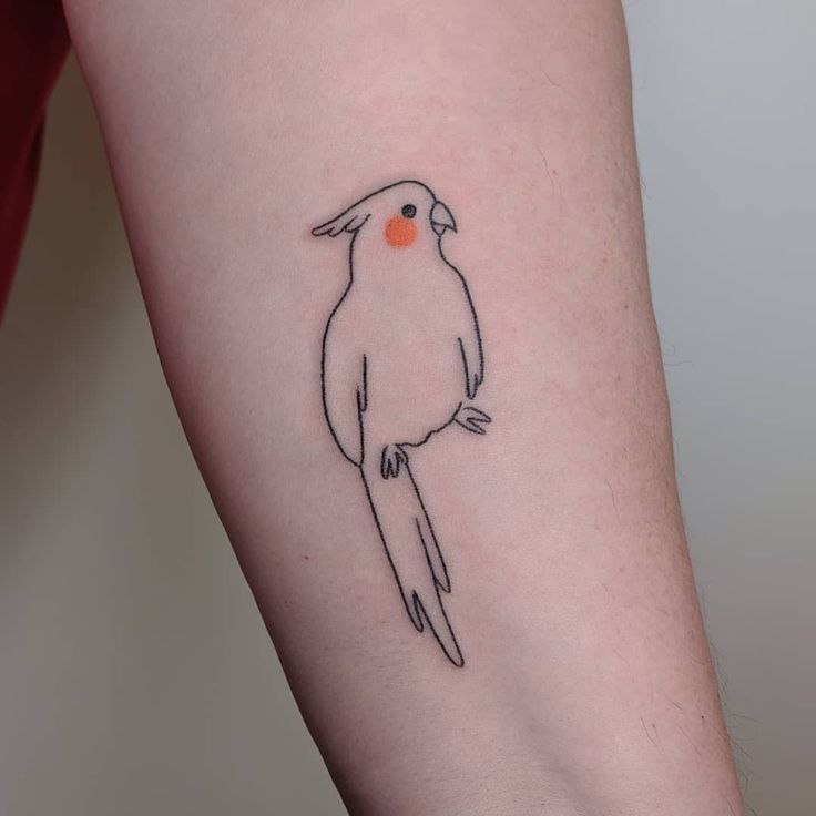 Parrot tattoo on the arm for women