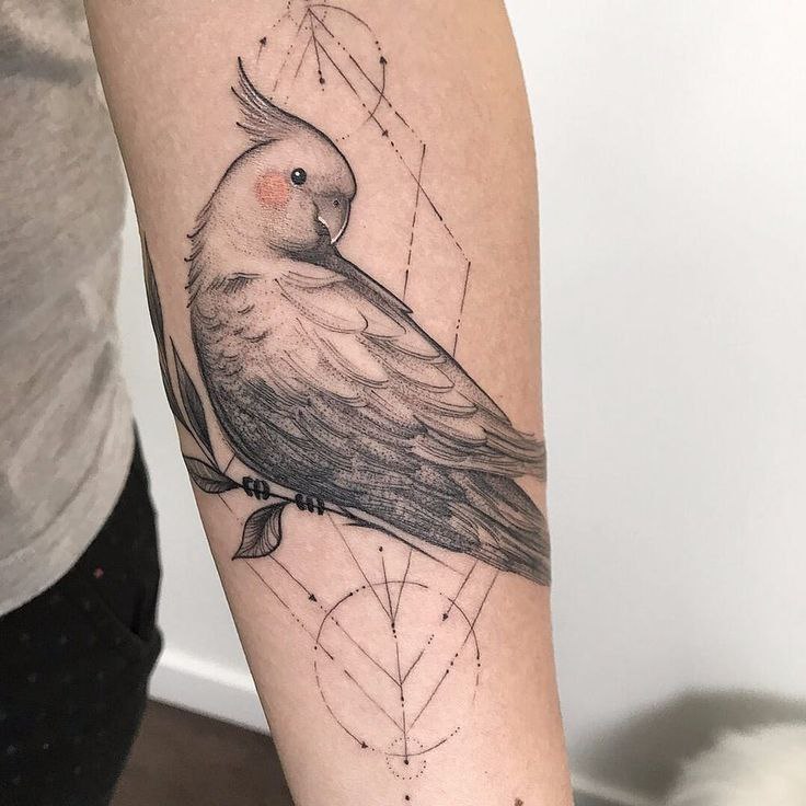 Large parrot tattoo on the forearm for women