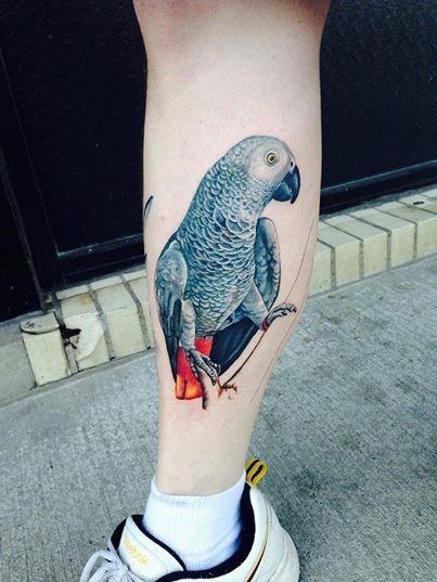 Large parrot tattoo on the shin for women