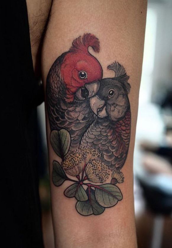 Color tattoo of two parrots on the shoulder for men