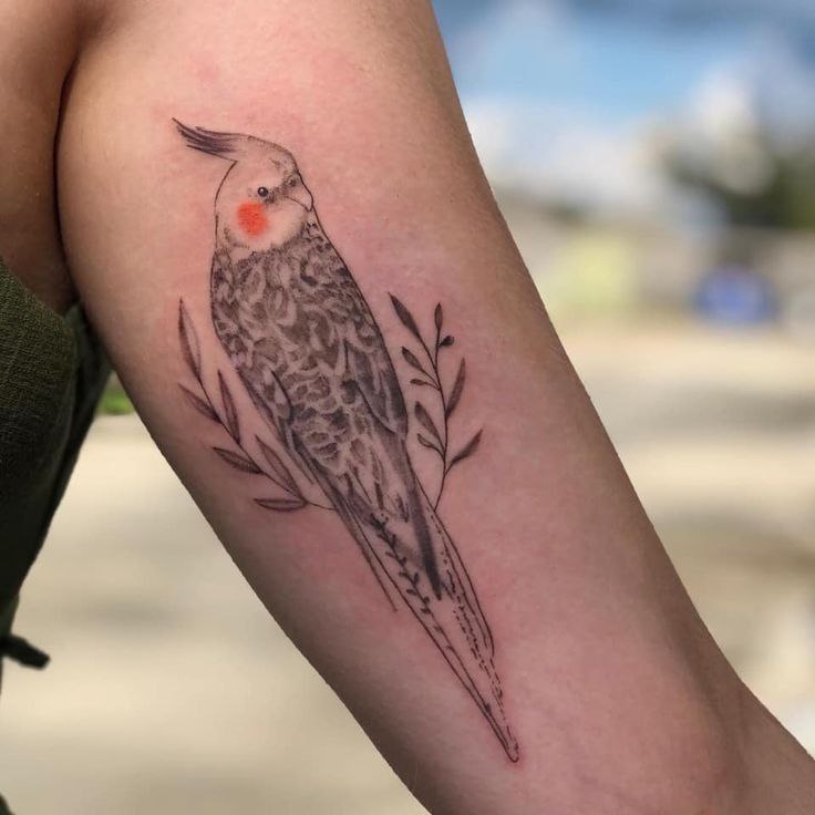 Parrot tattoo on forearm for women