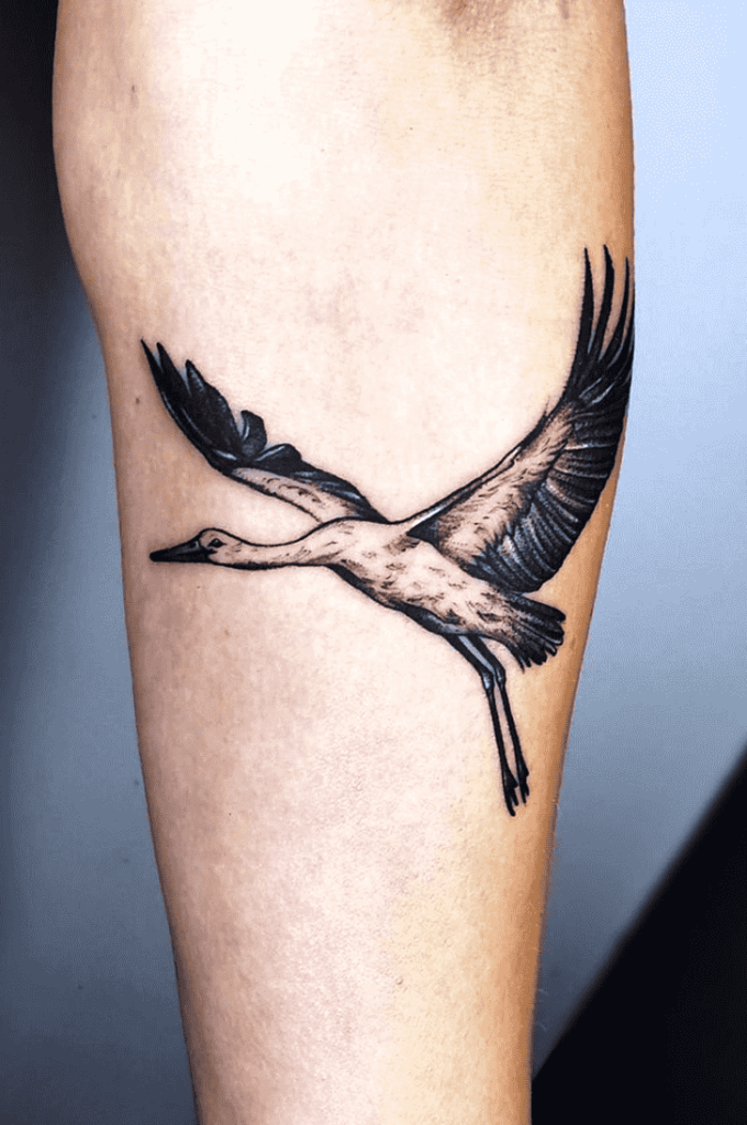 Stork tattoo on the forearm for men