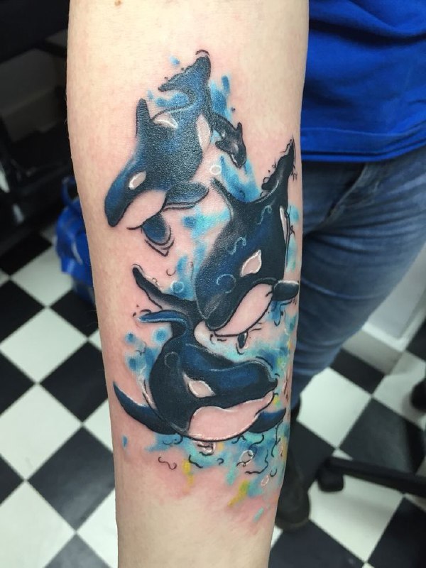 Colorful tattoo of three orcas on the forearm for men