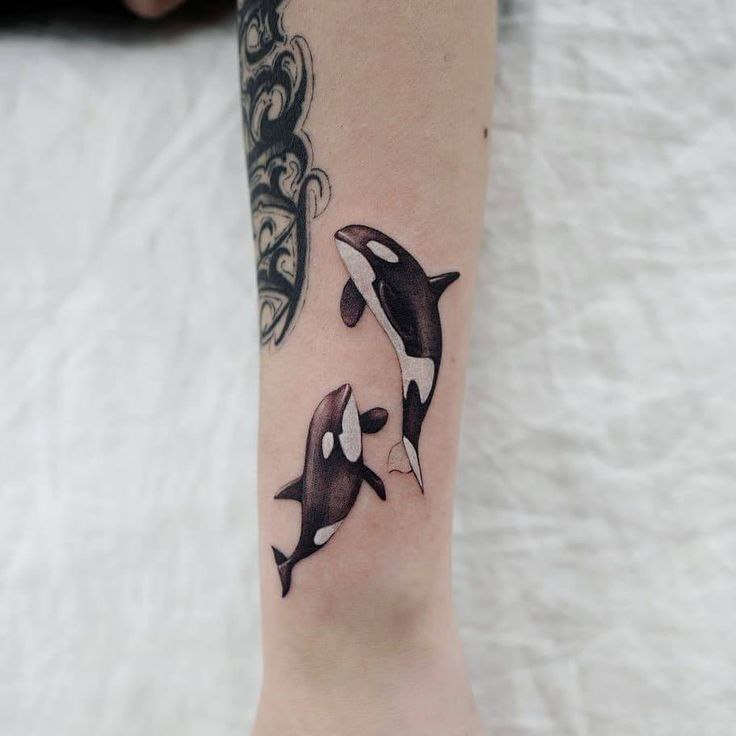 Tattoo of two orcas on the arm for men