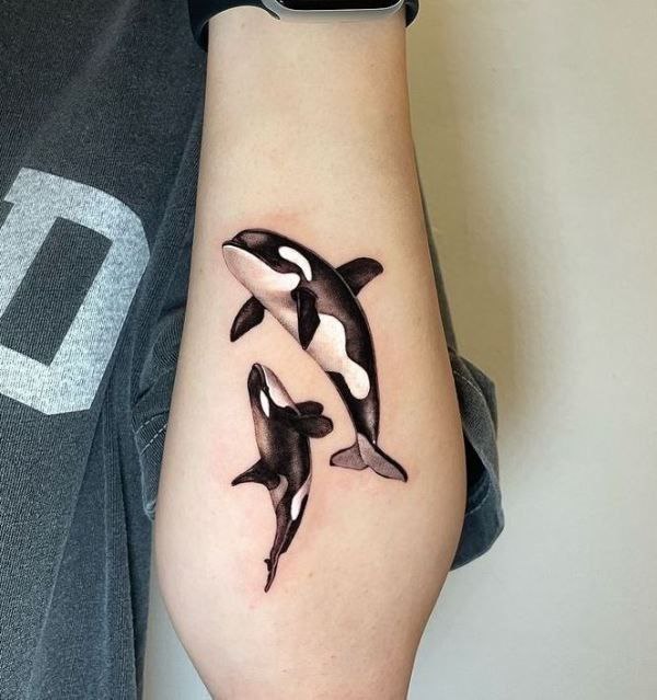 Tattoo of two orcas on the forearm for women