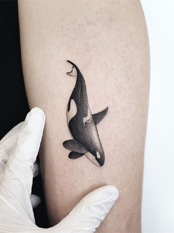 Orca tattoo on forearm for men