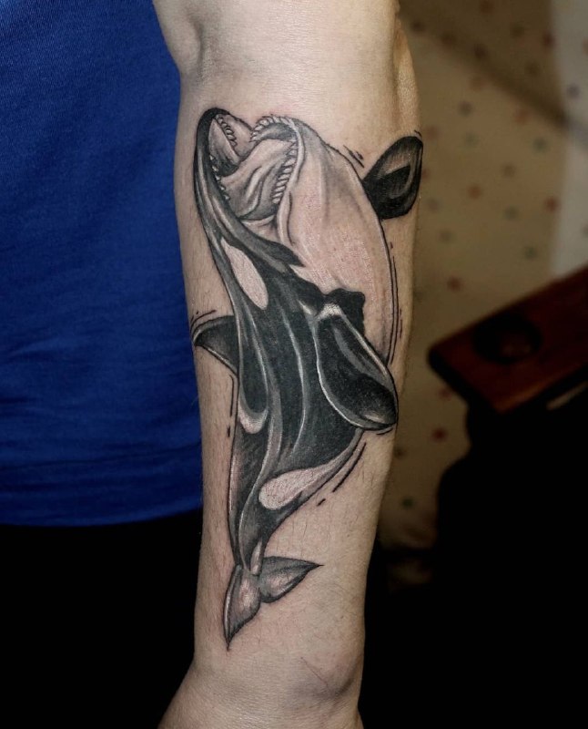 Large orca tattoo on the forearm for men