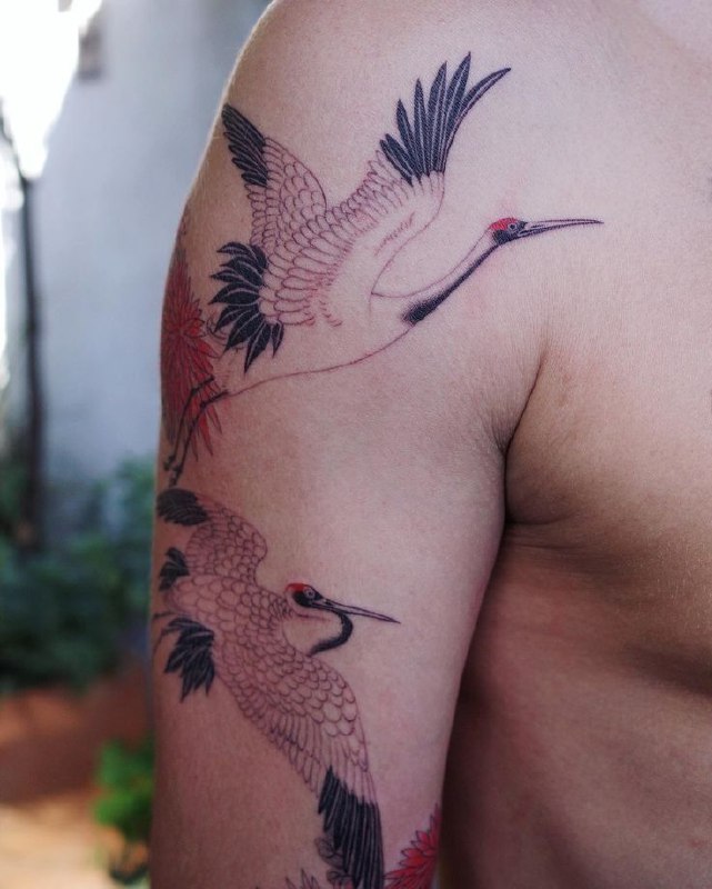 Colorful tattoo of two cranes on the shoulder for men