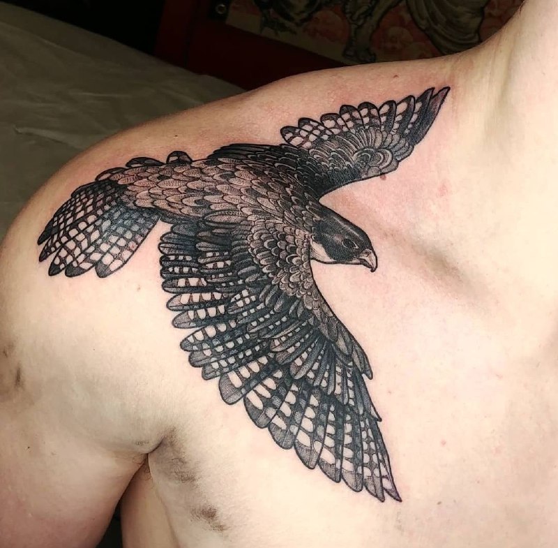 Large falcon tattoo on the shoulder for men