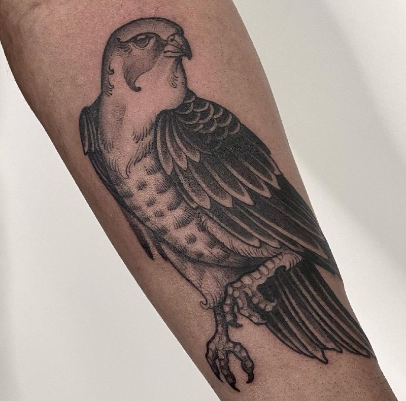 Large falcon tattoo on the forearm for men