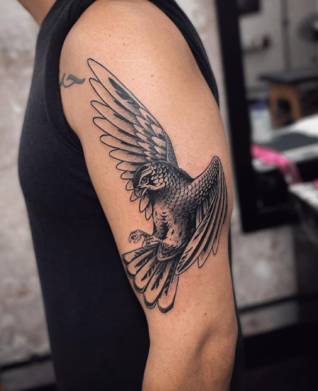 Falcon tattoo on the shoulder for men