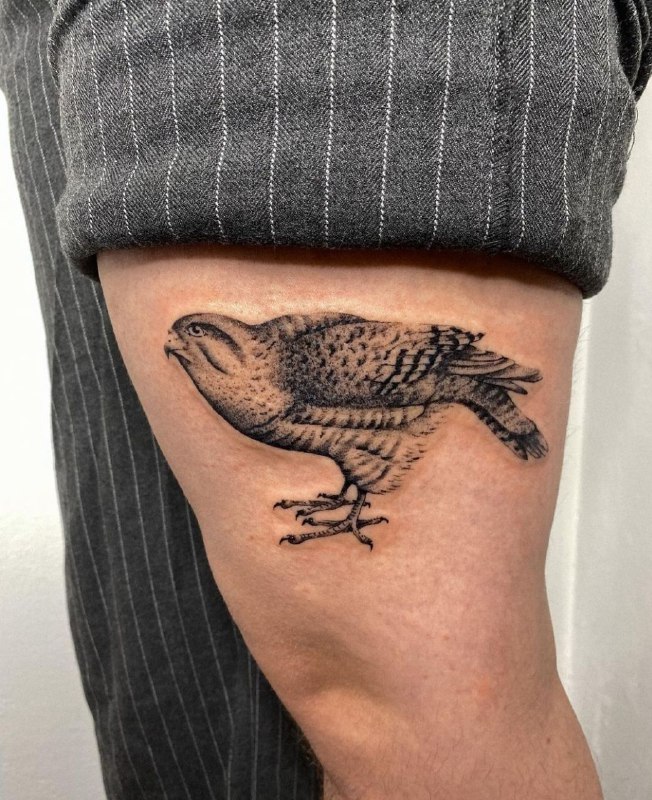 Falcon tattoo on the thigh for men