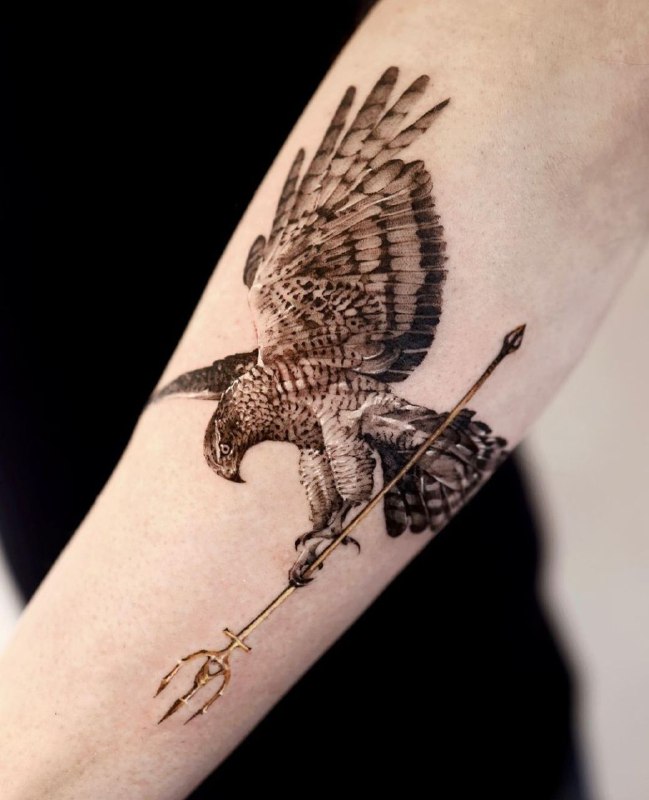 Falcon tattoo on forearm for men