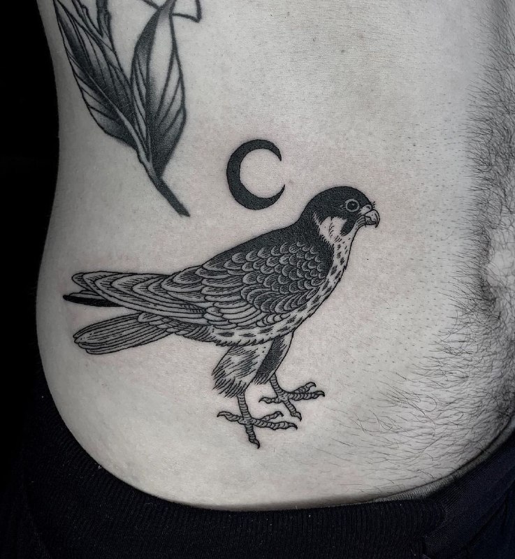 Large falcon tattoo on the abdomen for men