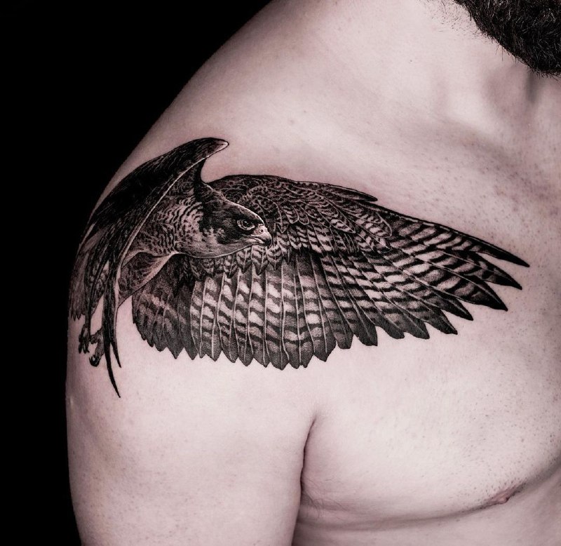 Large falcon tattoo on the shoulder for men