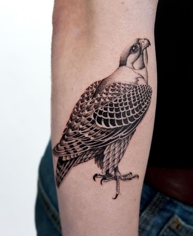 Large falcon tattoo on the forearm for women