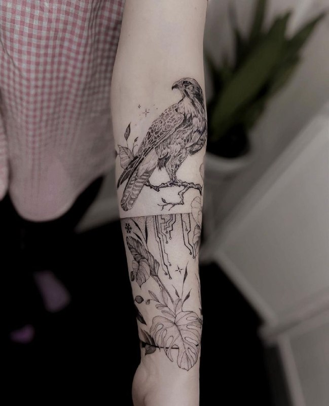 Falcon tattoo on forearm for women