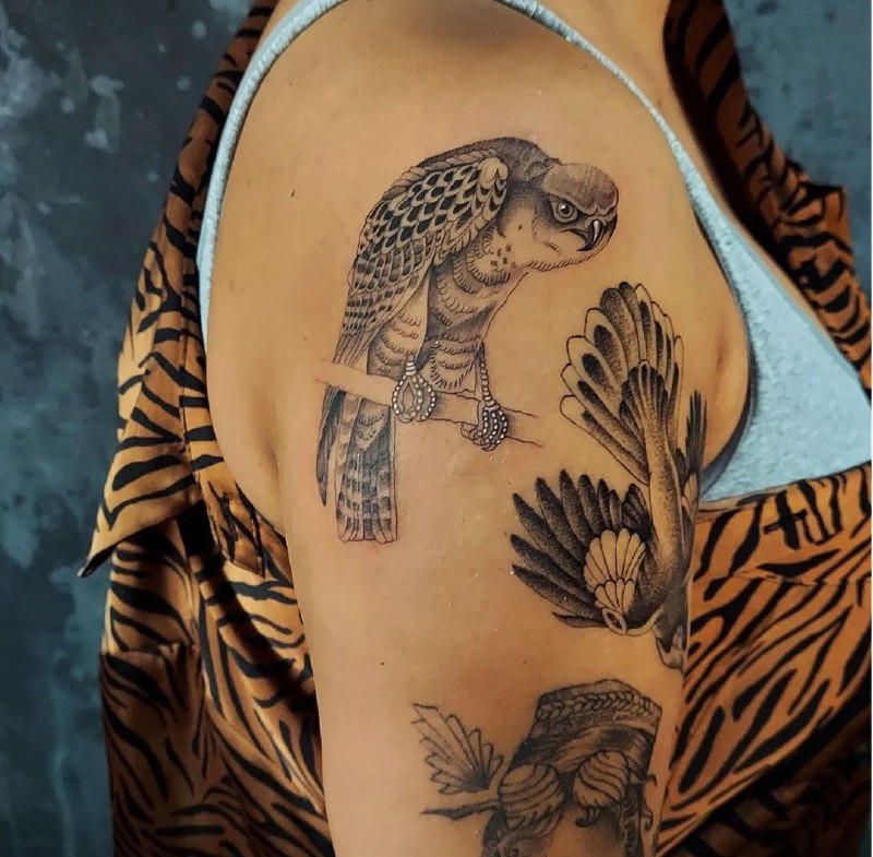 Falcon tattoo on the shoulder for women