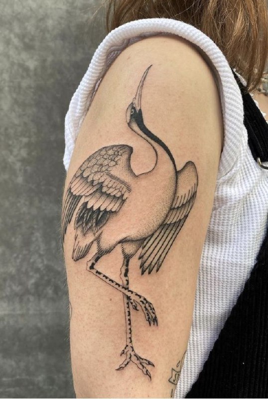 Large stork tattoo on the shoulder for men