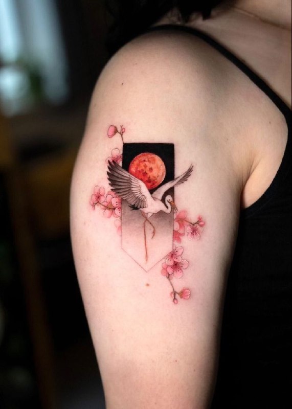 Colorful stork tattoo on the shoulder for women