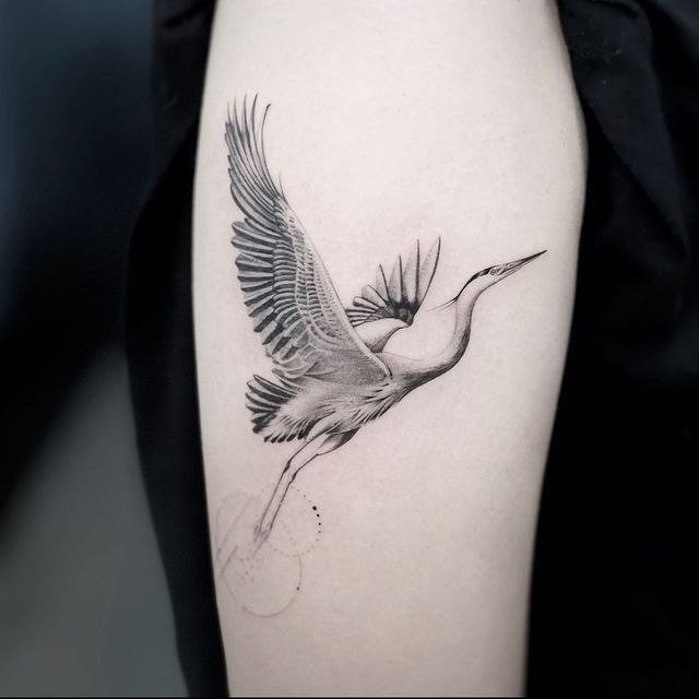 Stork tattoo on the shoulder for women